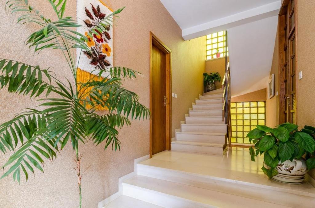 Apartments Villa Ivka Dubrovnik Exteriör bild