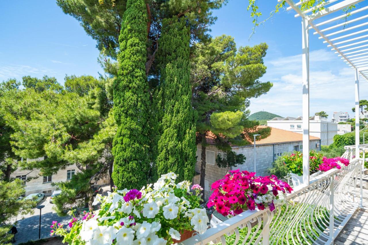 Apartments Villa Ivka Dubrovnik Exteriör bild