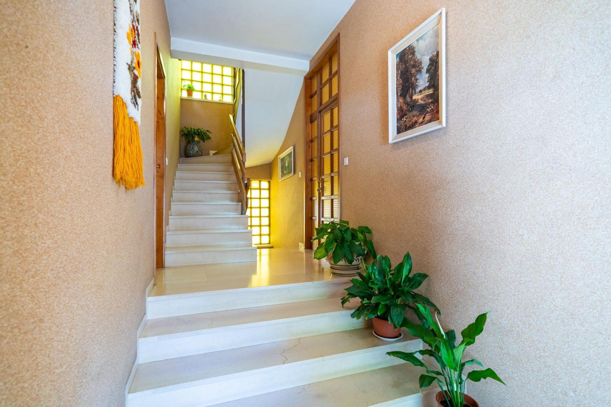 Apartments Villa Ivka Dubrovnik Exteriör bild